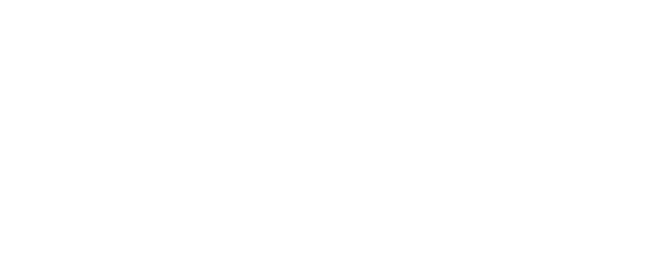 Logo: 3D Mapping Solutions