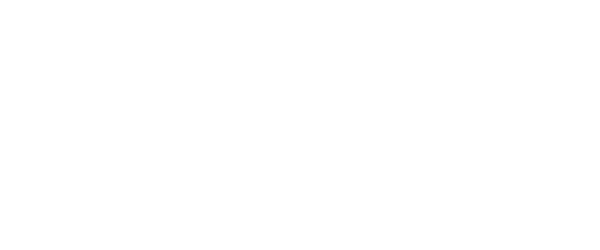 Logo: Ansys