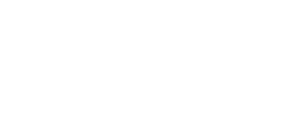Logo: BCE Dynamics