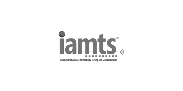 Logo: iamts