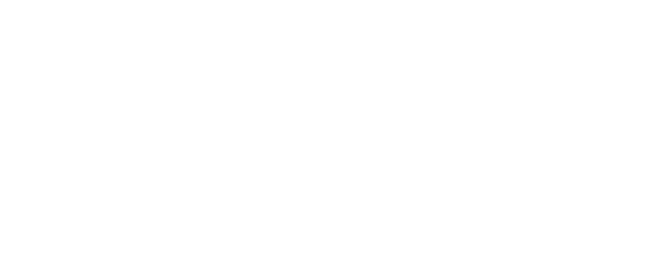 Logo: INAS