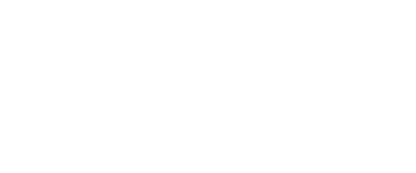 Logo: SVSFEM